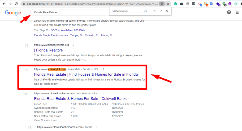 Google results for Florida real estate with the client highlighted